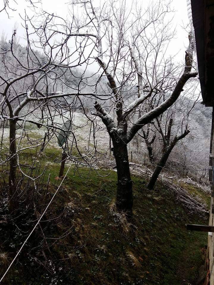 Gerze Altınyayla Köyü Resimleri 4