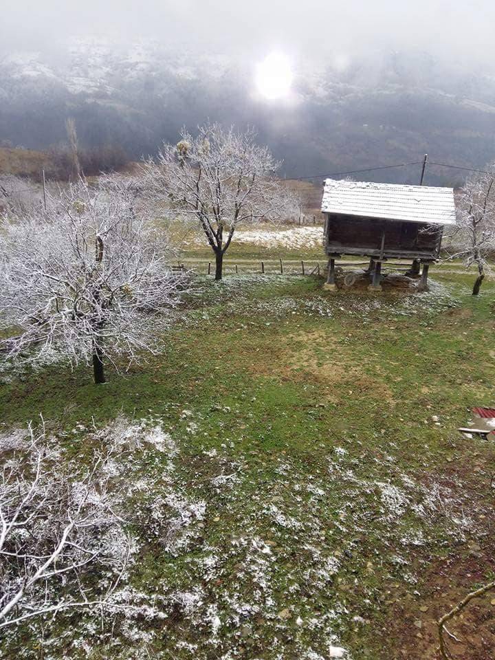 Gerze Altınyayla Köyü Resimleri 6