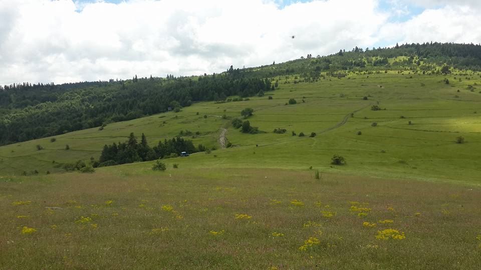 Gerze Başsökü Köyü Resimleri 4
