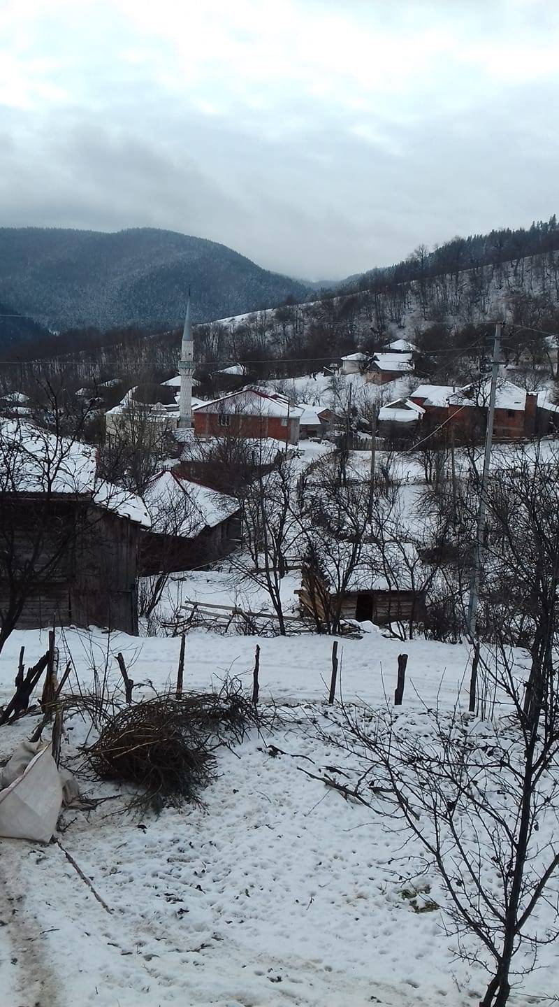 Gerze Başsökü Köyü Resimleri 5