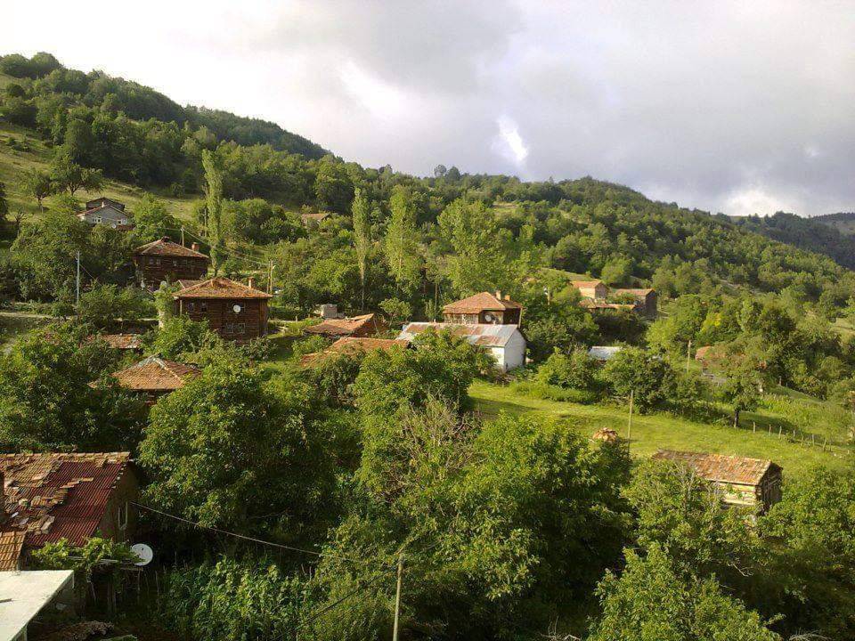 Gerze Başsökü Köyü Resimleri 7