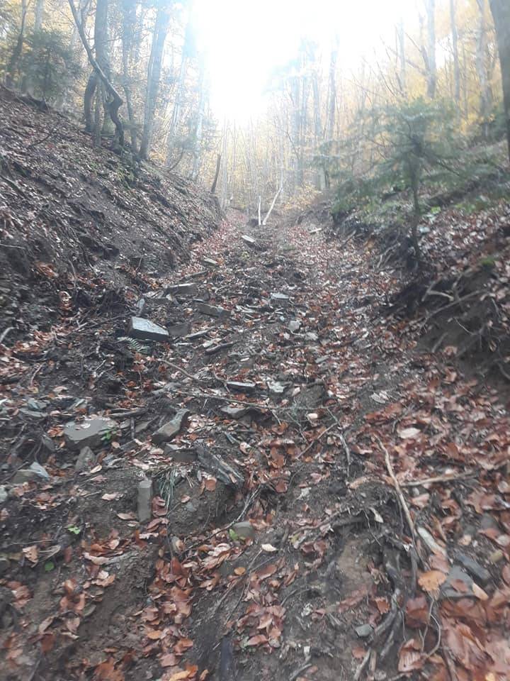 Gerze Başsökü Köyü Resimleri 8