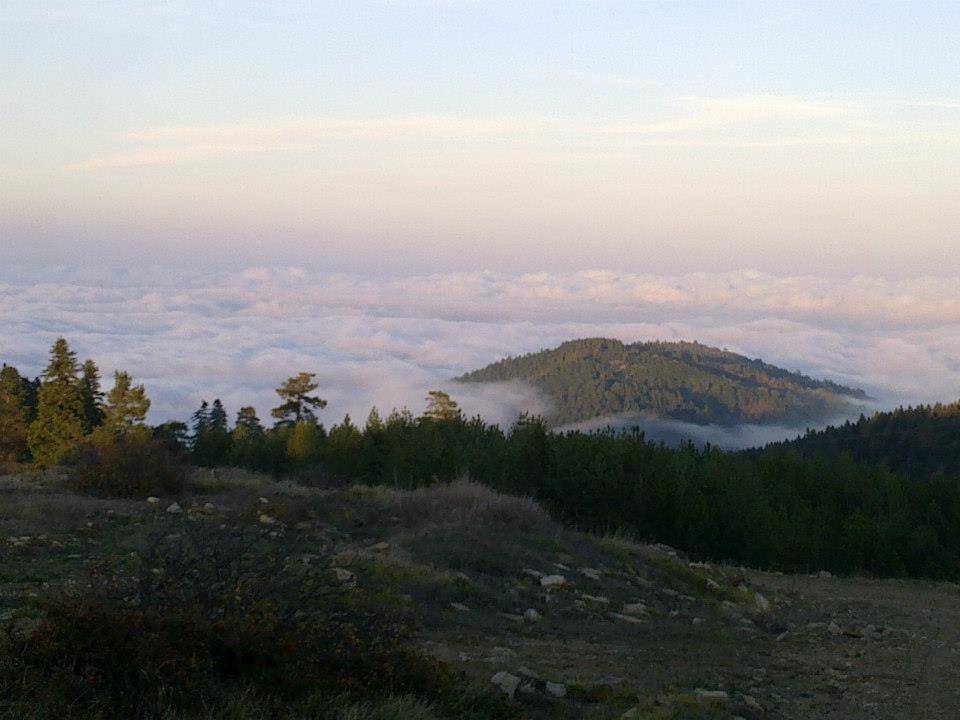 Gerze Başsökü Köyü Resimleri 9