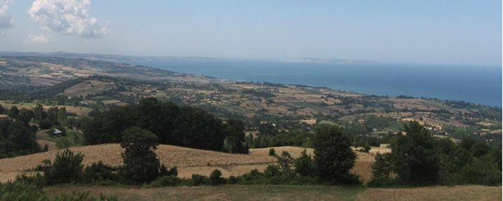 Gerze Belören Köyü Resimleri 10