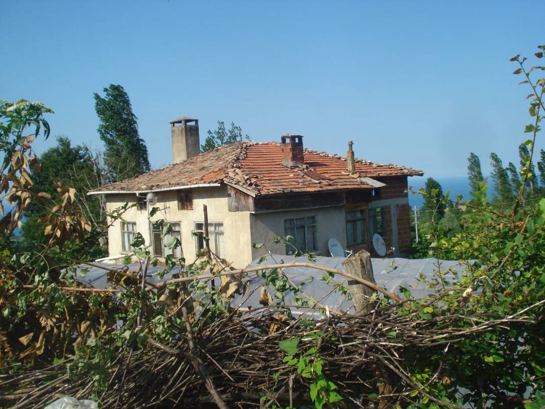 Gerze Belören Köyü Resimleri 2