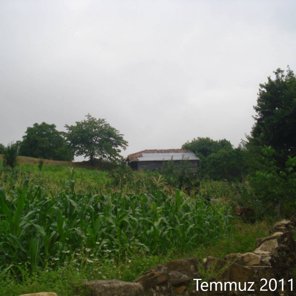 Gerze Belören Köyü Resimleri 6