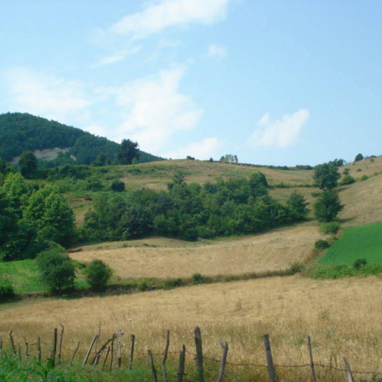 Gerze Belören Köyü Resimleri 8