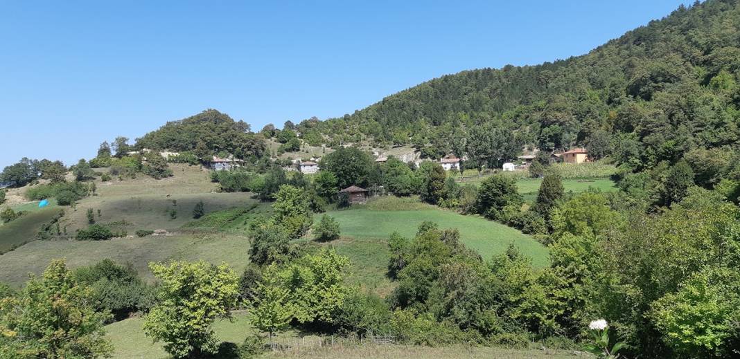 Gerze Bolalı Köyü Resimleri 2