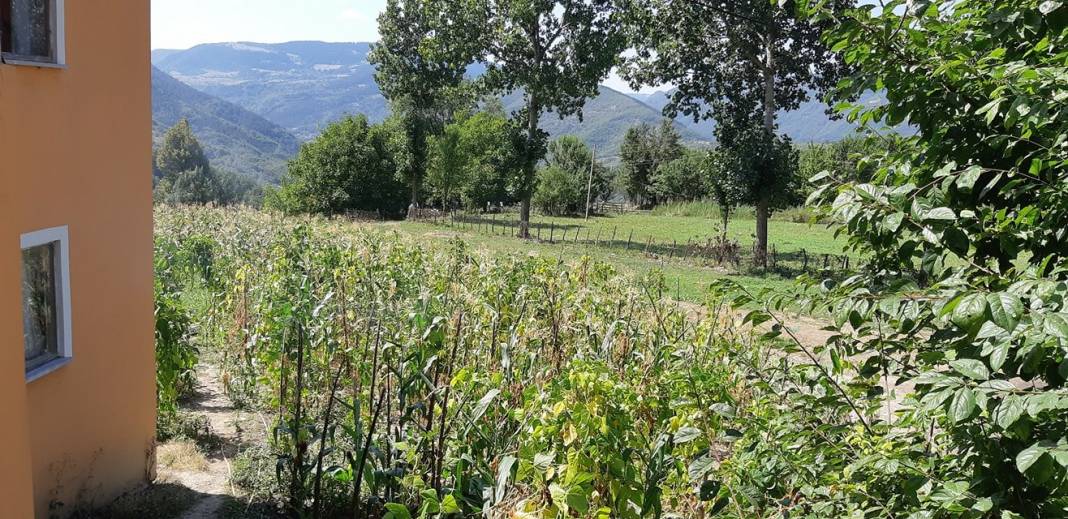 Gerze Bolalı Köyü Resimleri 3