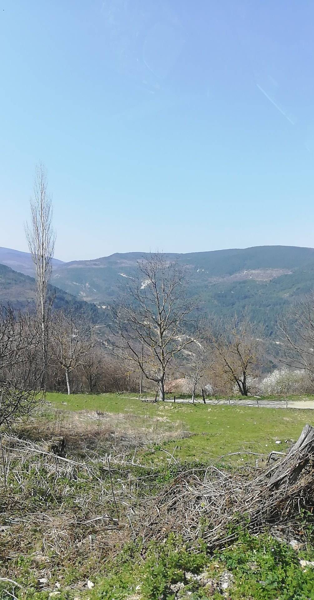 Gerze Bolalı Köyü Resimleri 4