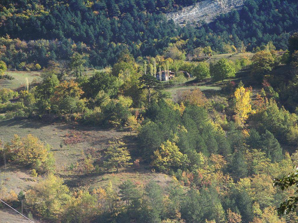 Gerze Bolalı Köyü Resimleri 6