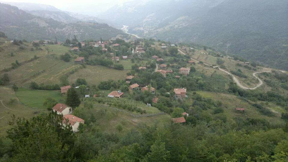 Gerze Boyalı Köyü Resimleri 1