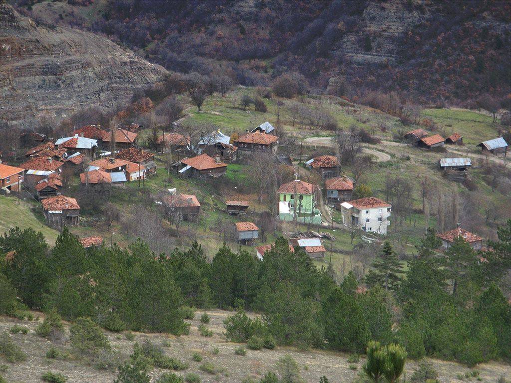 Gerze Boyalı Köyü Resimleri 11