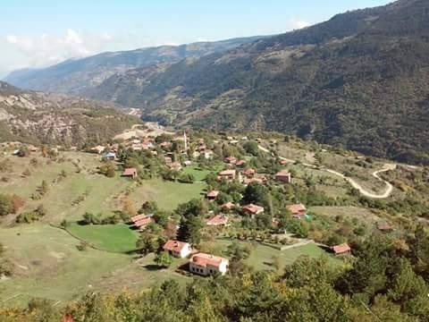 Gerze Boyalı Köyü Resimleri 4