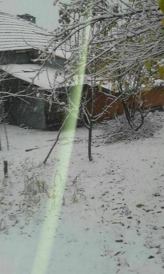 Gerze Boyalı Köyü Resimleri 6