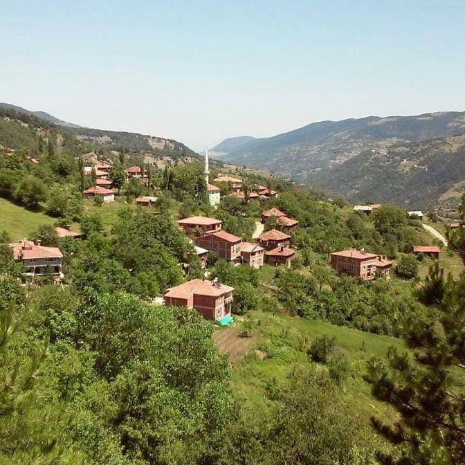 Gerze Boyalı Köyü Resimleri 8