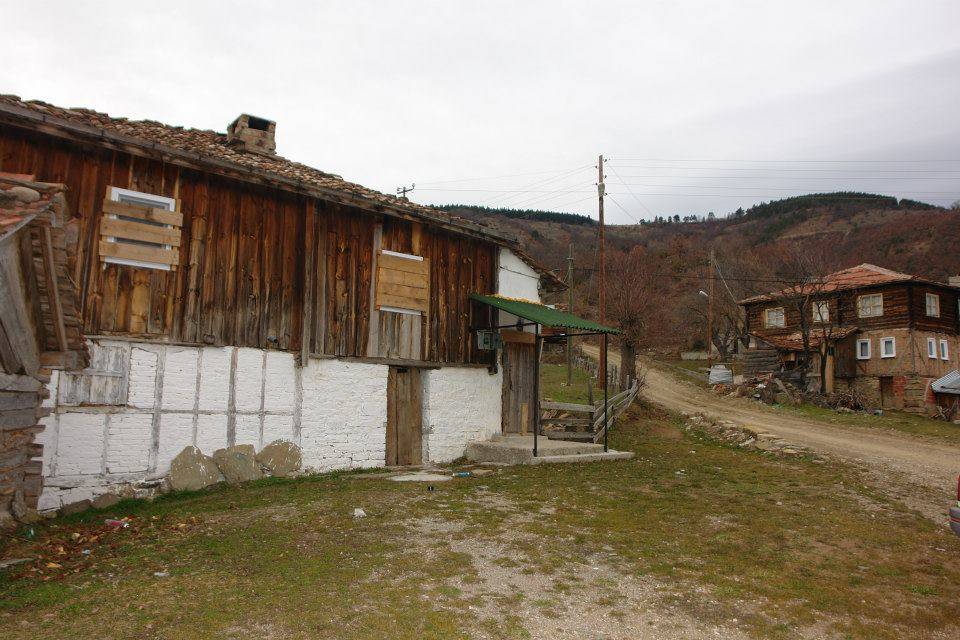 Gerze Boyalıca Köyü Resimleri 1