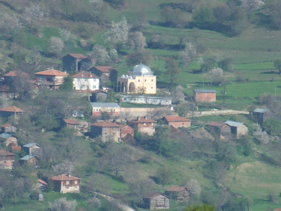 Gerze Boyalıca Köyü Resimleri 12