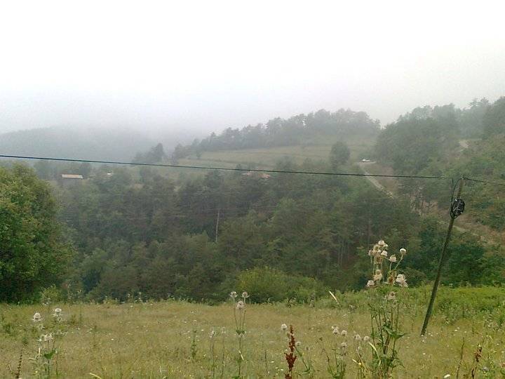 Gerze Boyalıca Köyü Resimleri 5