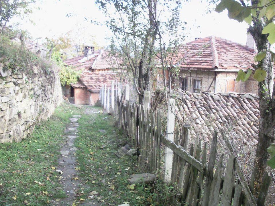 Gerze Boyalıca Köyü Resimleri 7