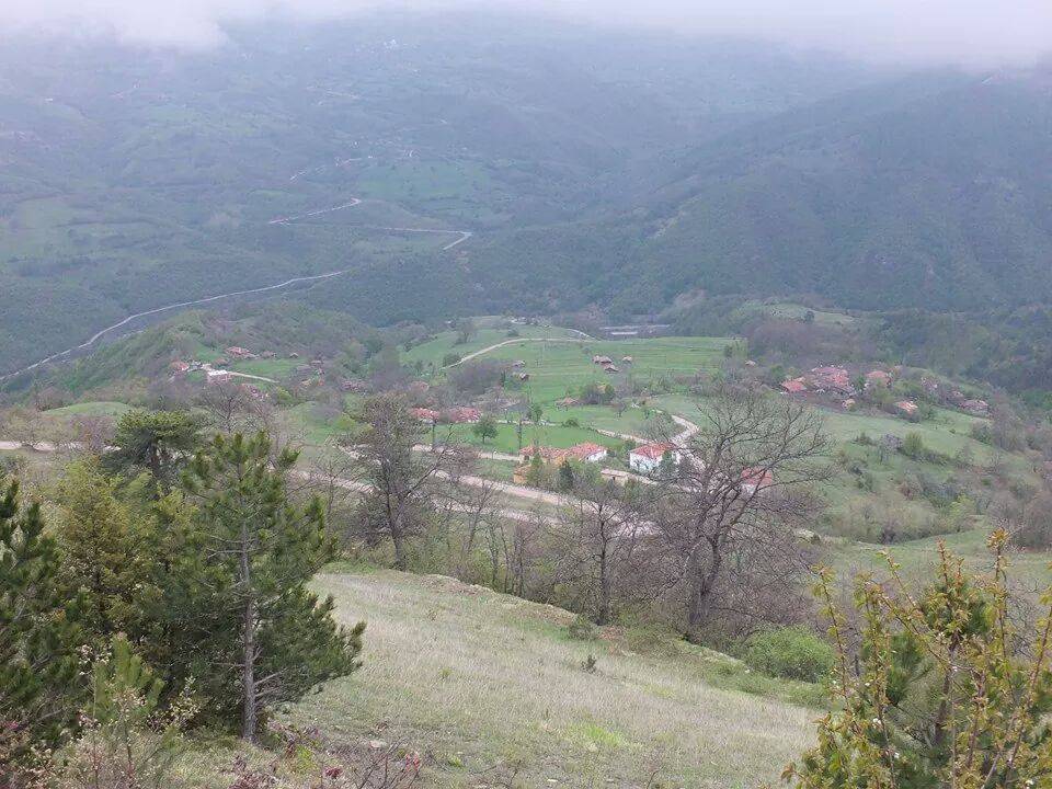 Gerze Boyalıca Köyü Resimleri 8