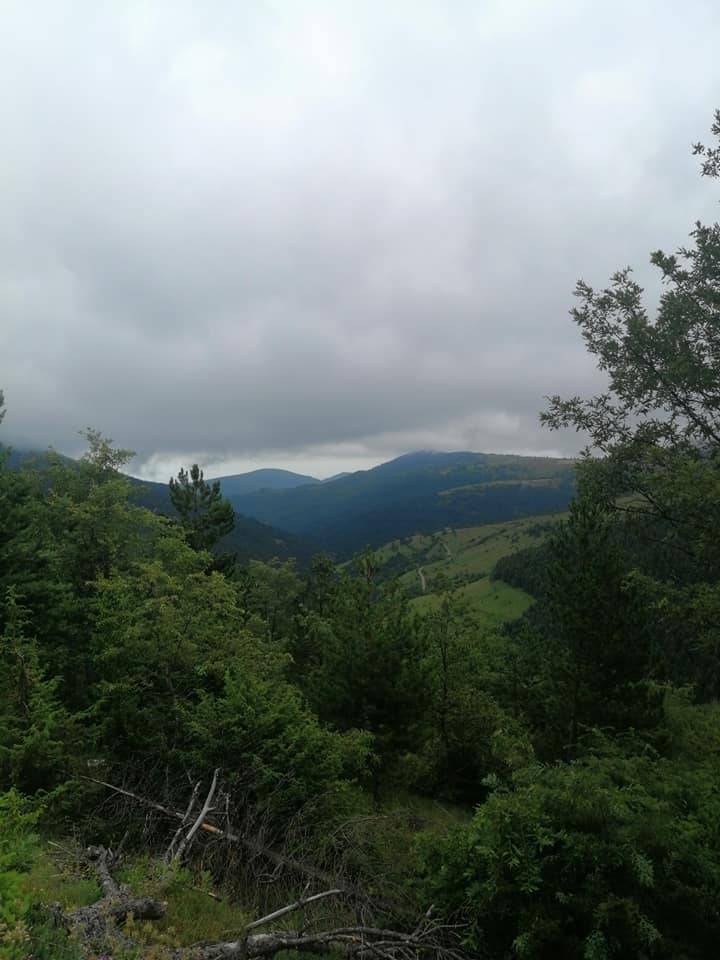 Gerze Çağlayan Köyü Resimleri 1