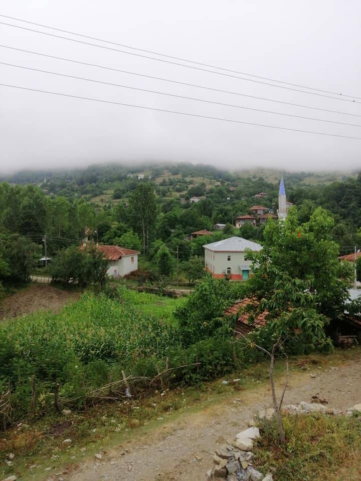 Gerze Çağlayan Köyü Resimleri 10