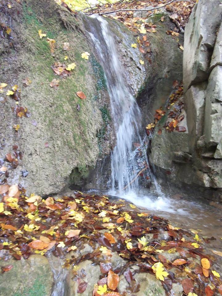 Gerze Çağlayan Köyü Resimleri 11