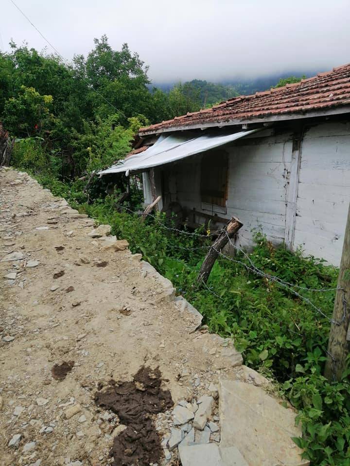 Gerze Çağlayan Köyü Resimleri 3