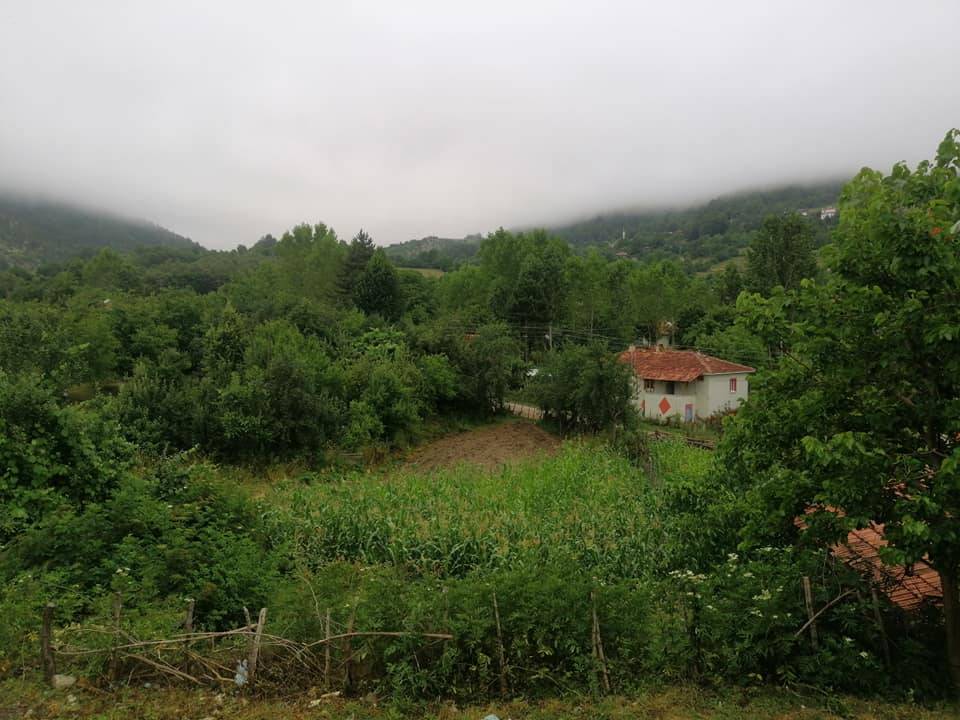 Gerze Çağlayan Köyü Resimleri 5