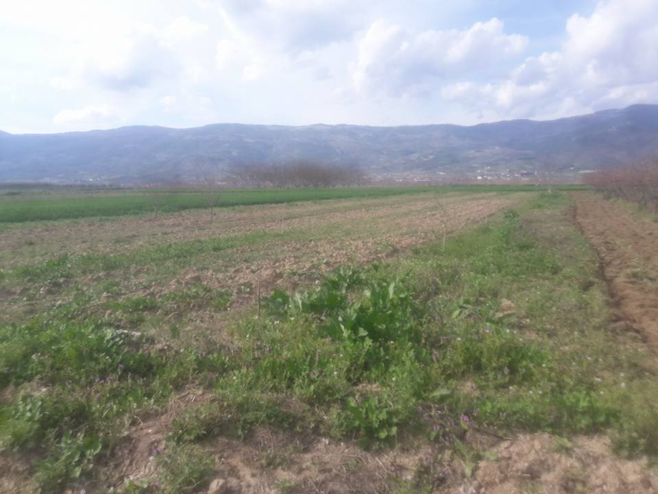 Pamukova Fevziye Köyü Resimleri 10