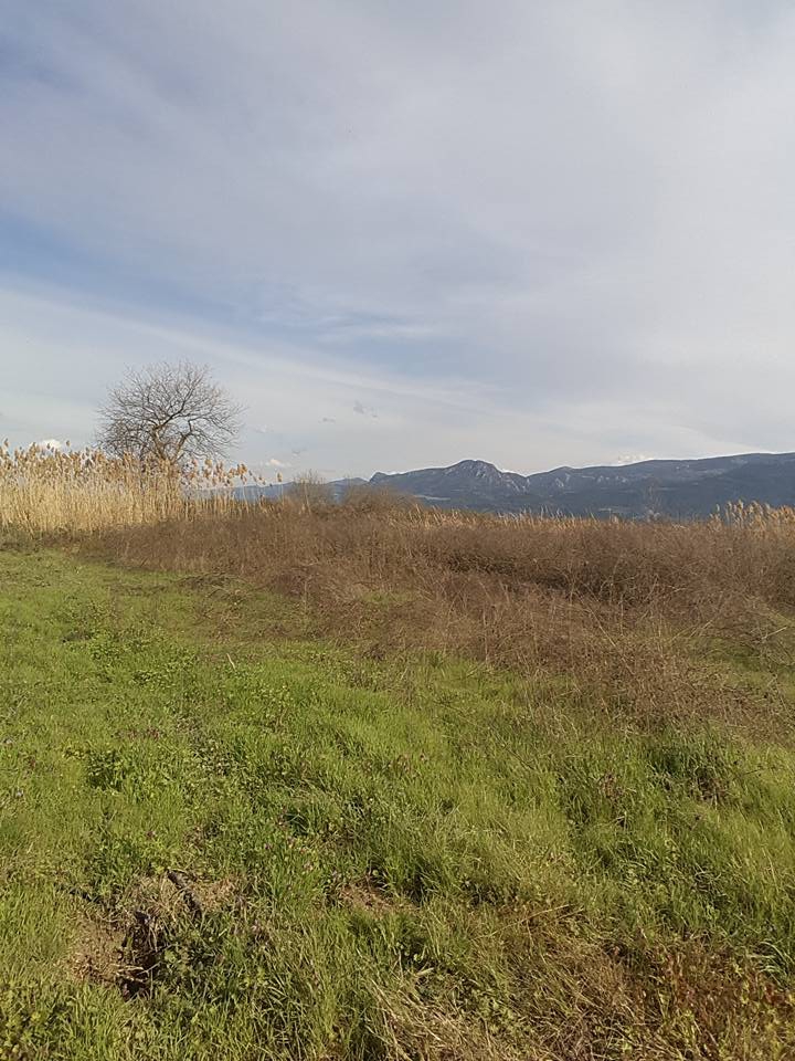 Pamukova Fevziye Köyü Resimleri 11