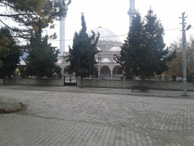 Pamukova Fevziye Köyü Resimleri 2