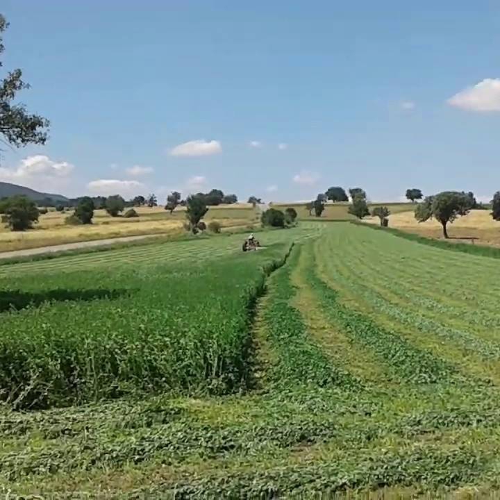 Pamukova Fevziye Köyü Resimleri 7