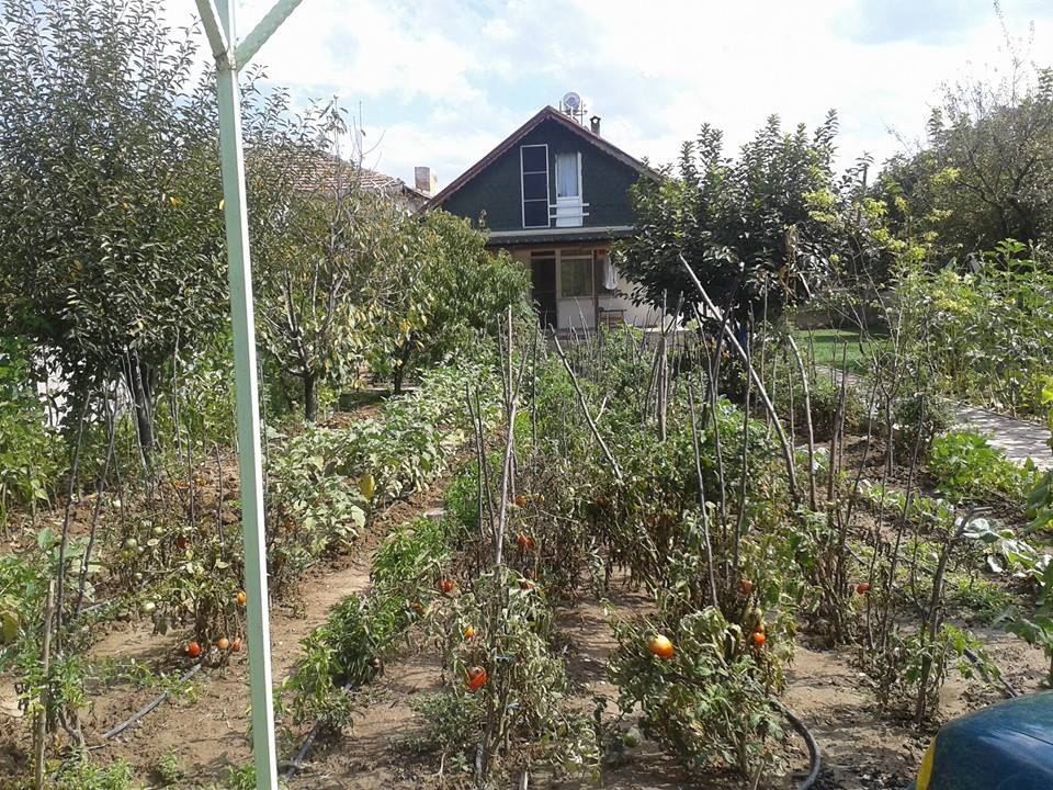 Pamukova Fevziye Köyü Resimleri 9