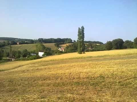 Gerze Çırnık Köyü Resimleri 2