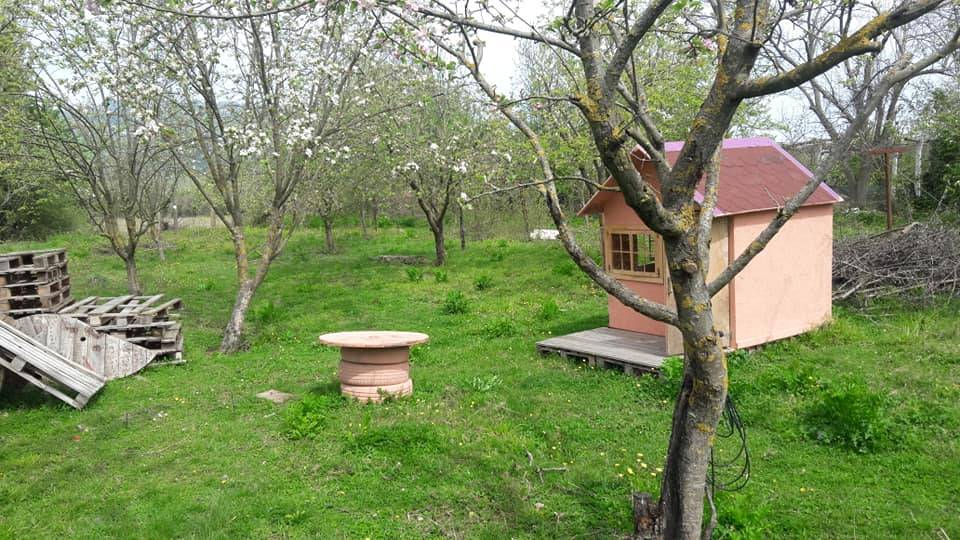 Gerze Çırnık Köyü Resimleri 3