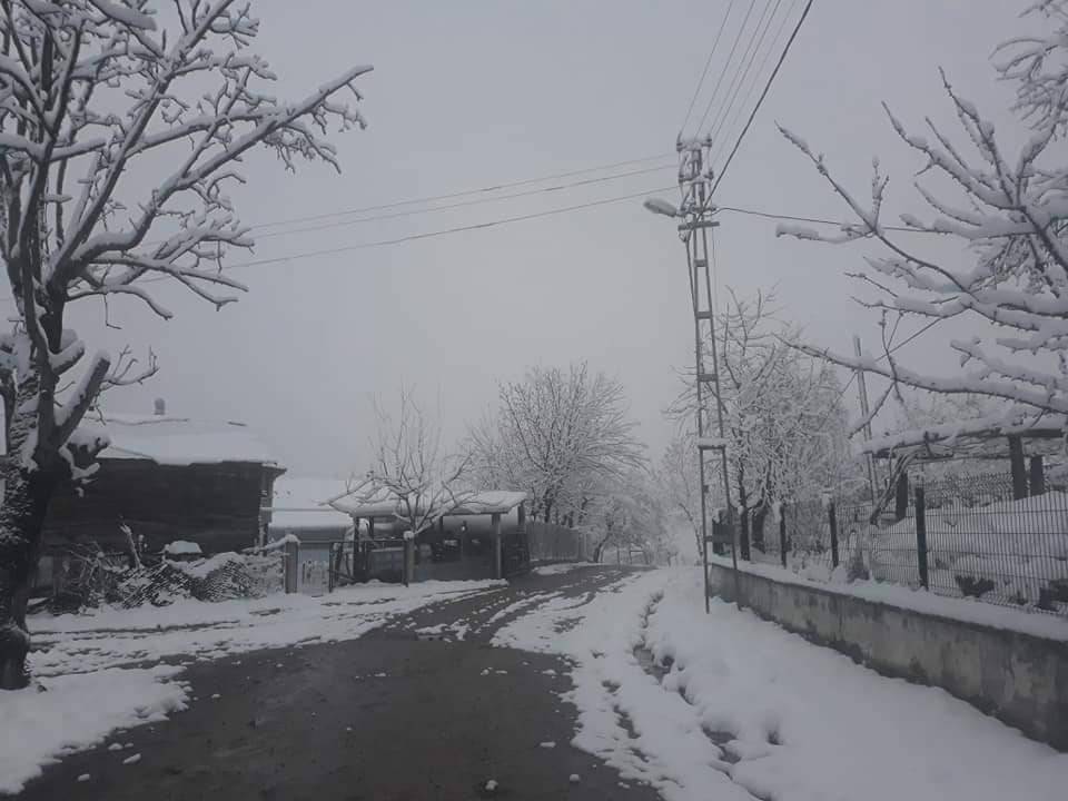 Gerze Gürsökü Köyü Resimleri 10