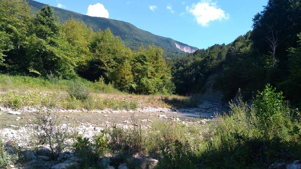 Gerze Gürsökü Köyü Resimleri 11