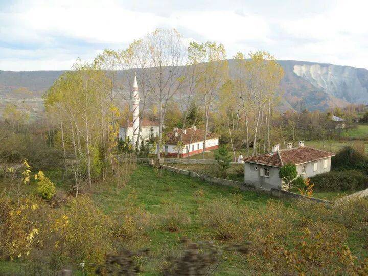 Gerze Gürsökü Köyü Resimleri 13