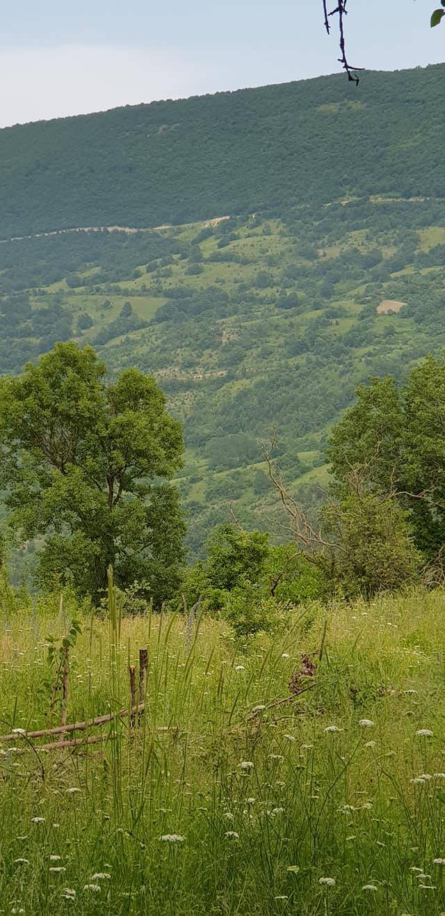 Gerze Gürsökü Köyü Resimleri 2