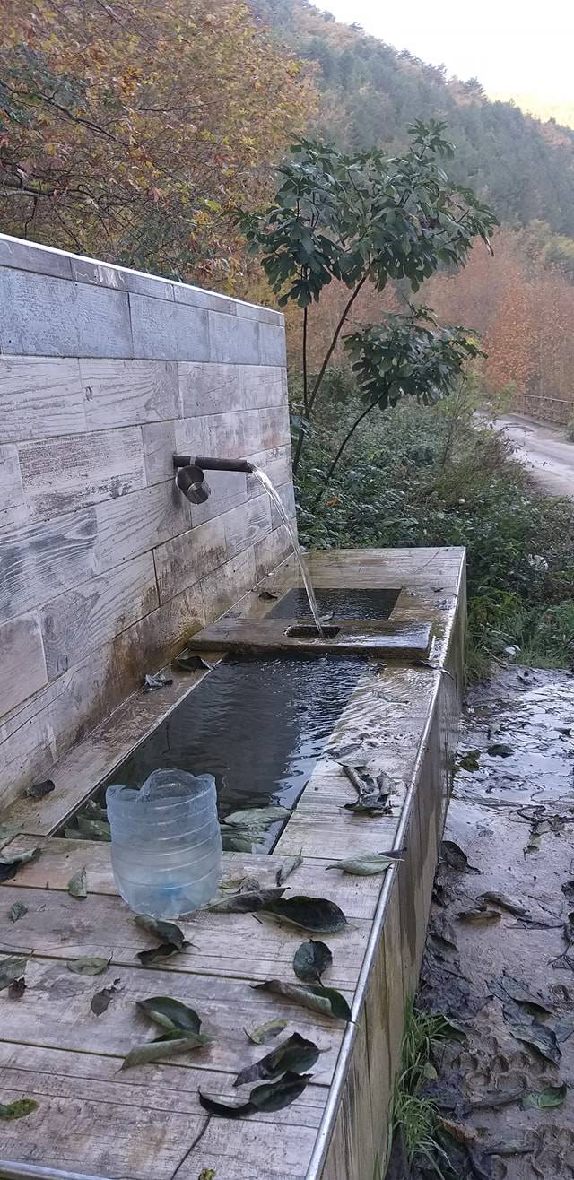 Gerze Gürsökü Köyü Resimleri 7