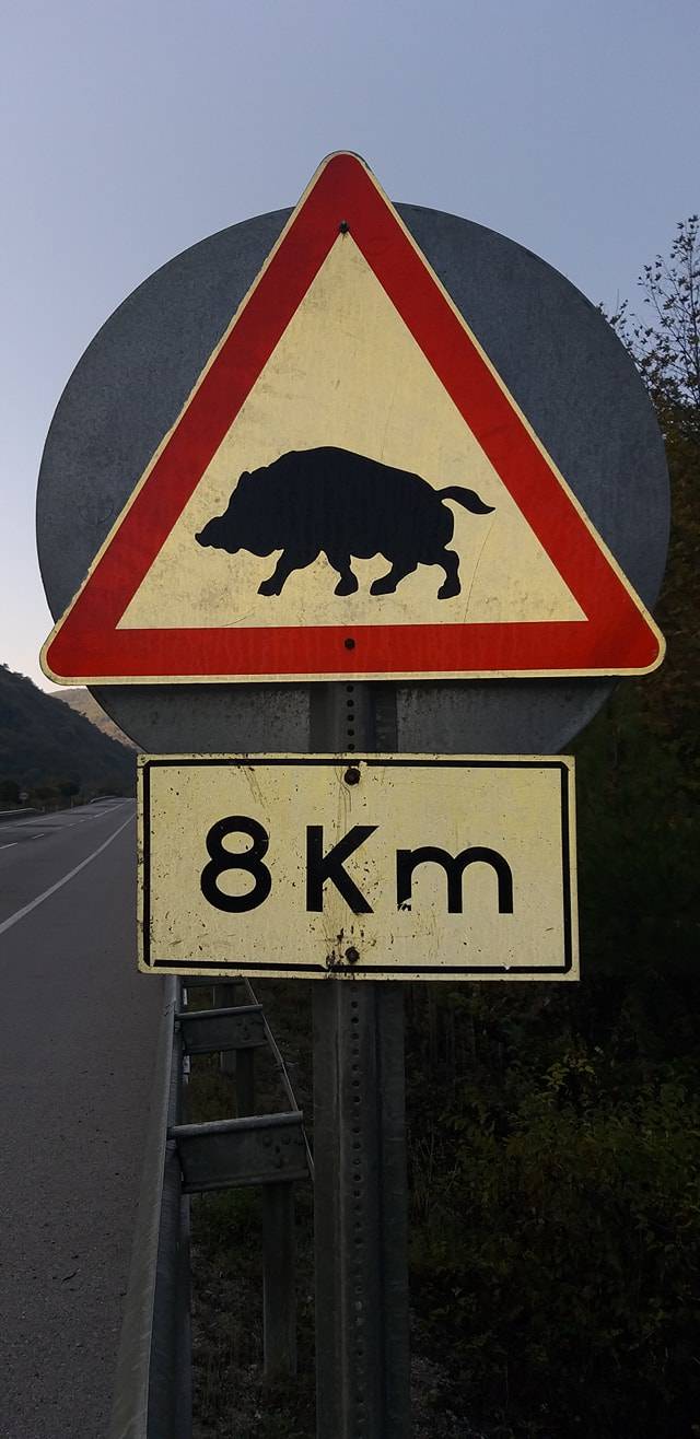 Gerze Gürsökü Köyü Resimleri 8