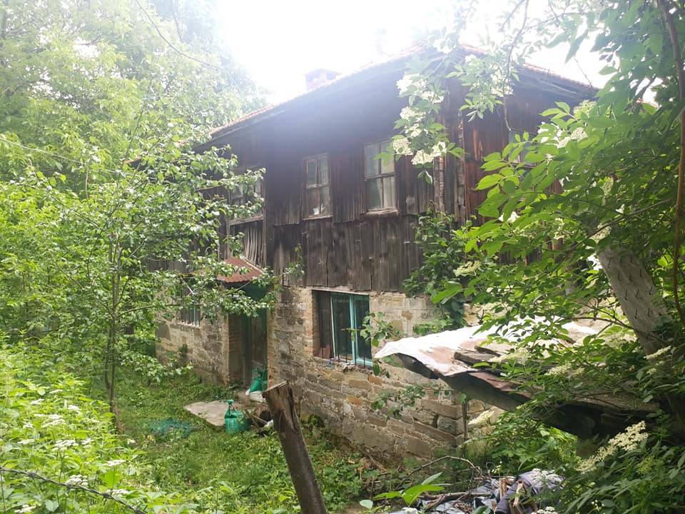 Gerze Güzelyurt Köyü Resimleri 2