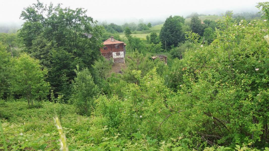 Gerze Güzelyurt Köyü Resimleri 3