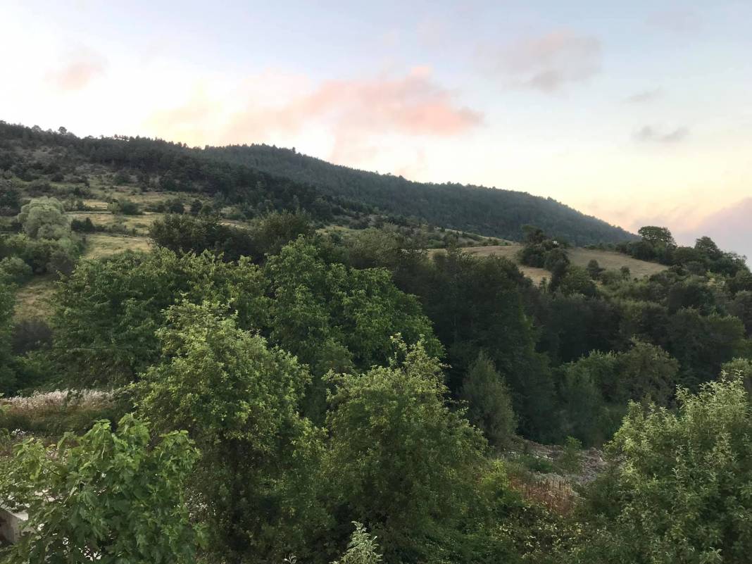 Gerze Güzelyurt Köyü Resimleri 4