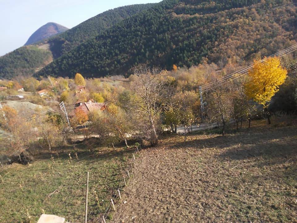 Gerze Güzelyurt Köyü Resimleri 7