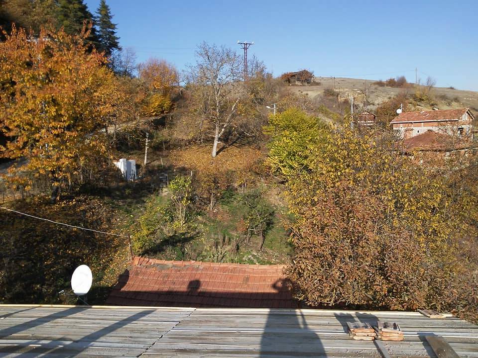 Gerze Güzelyurt Köyü Resimleri 8