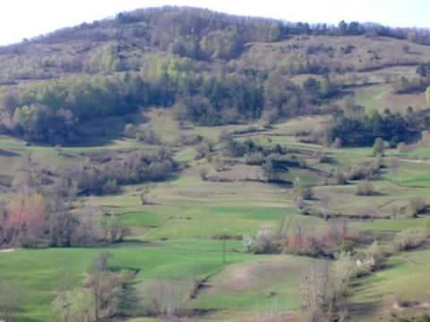 Gerze Hacıselli Köyü Resimleri 1