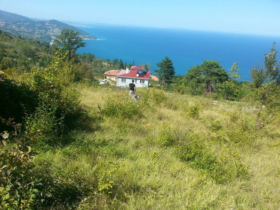 Gerze Hacıselli Köyü Resimleri 2